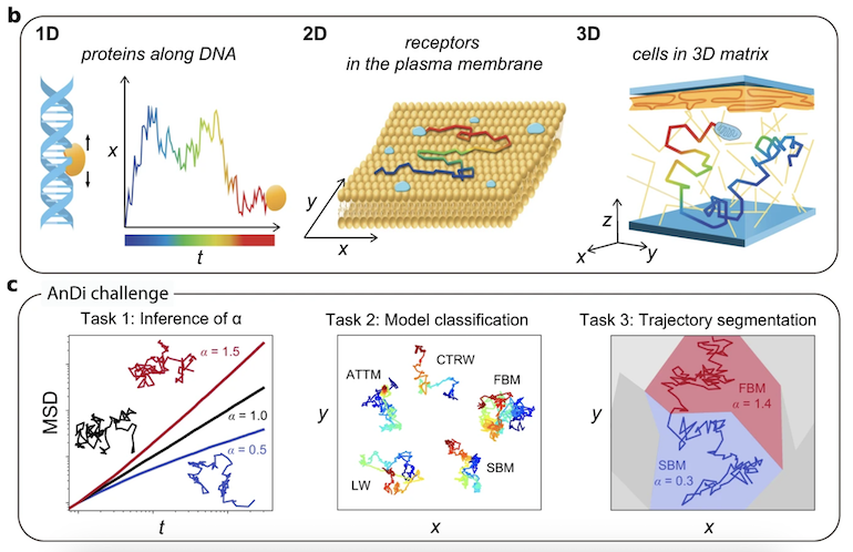 Objective comparison of methods to decode anomalous diffusion (Nature Communications)
